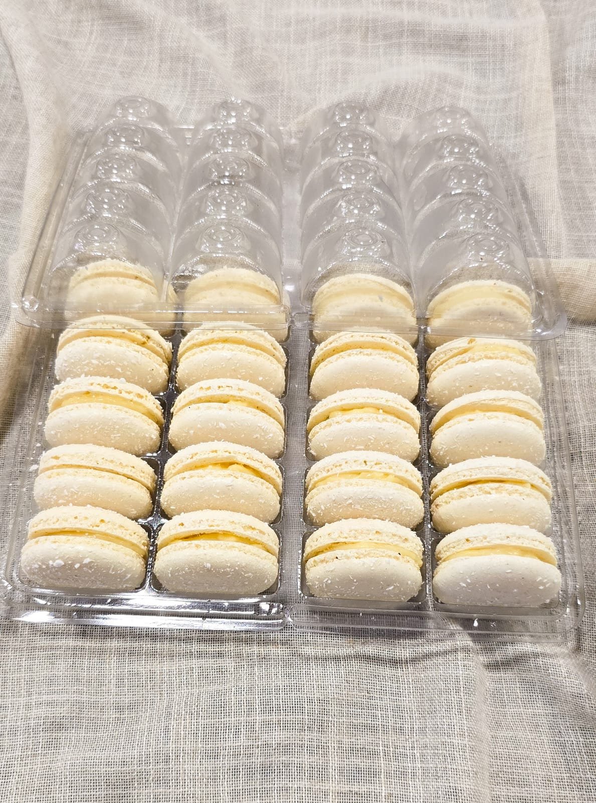 MACARONS COCADA EMB C/20 UNID - Imagem 2