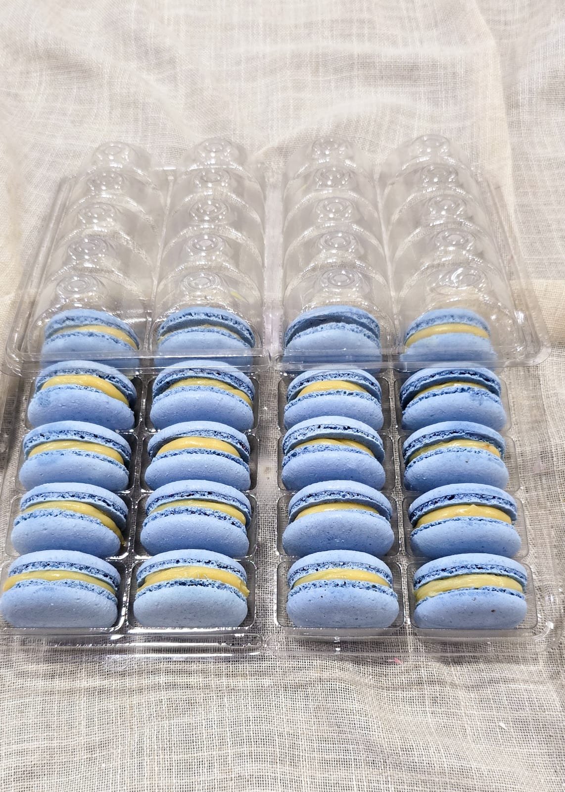 MACARON AZUL - NOZES - 20 UNIDADES - Imagem 2